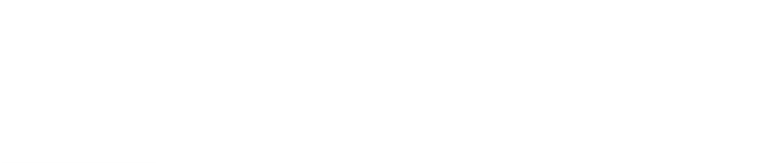 Logo transparent-03